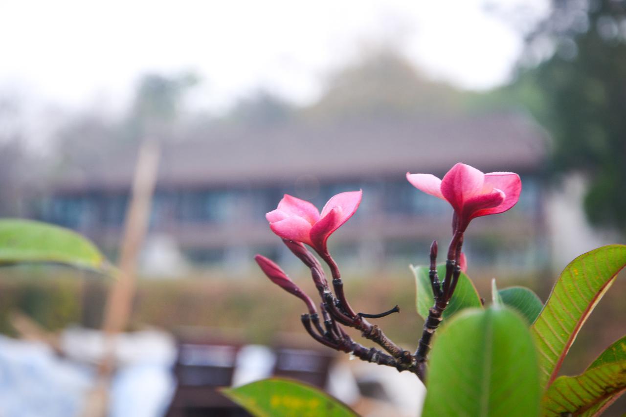Phu Chom Mork Resort サンクラブリー エクステリア 写真